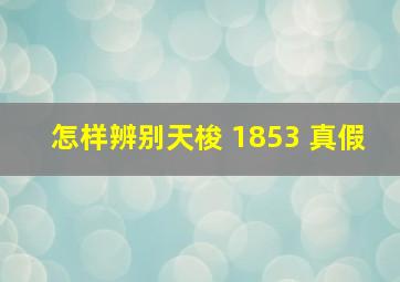 怎样辨别天梭 1853 真假